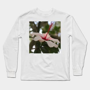 Hibiscus flower on its tree Long Sleeve T-Shirt